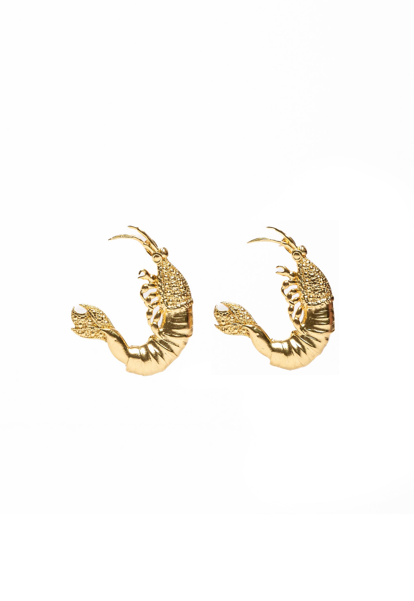 Gamba La Mar